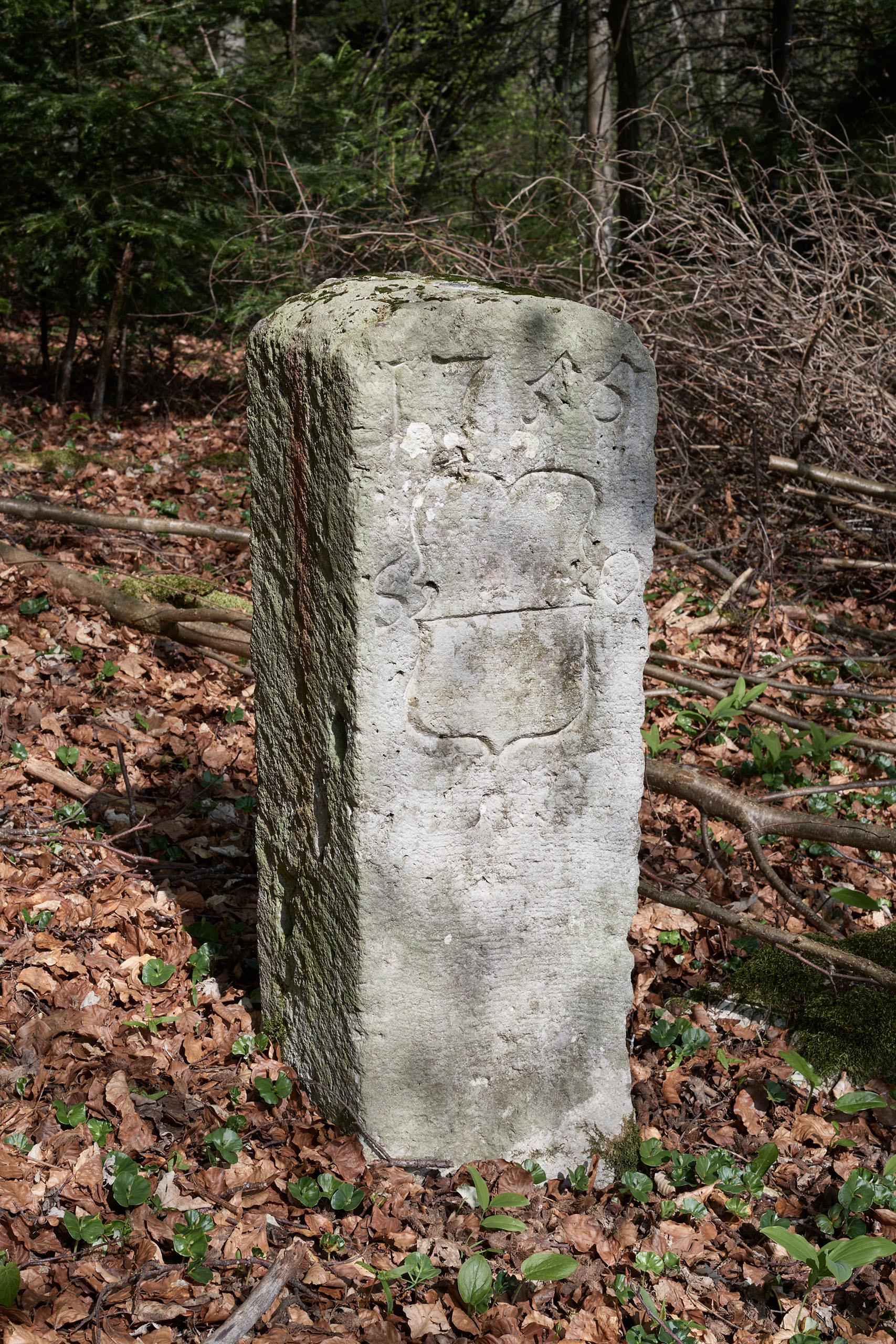 Wahlen. Bachmatt. Grenzstein Nr. 98